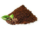 Coffee extract-130x100